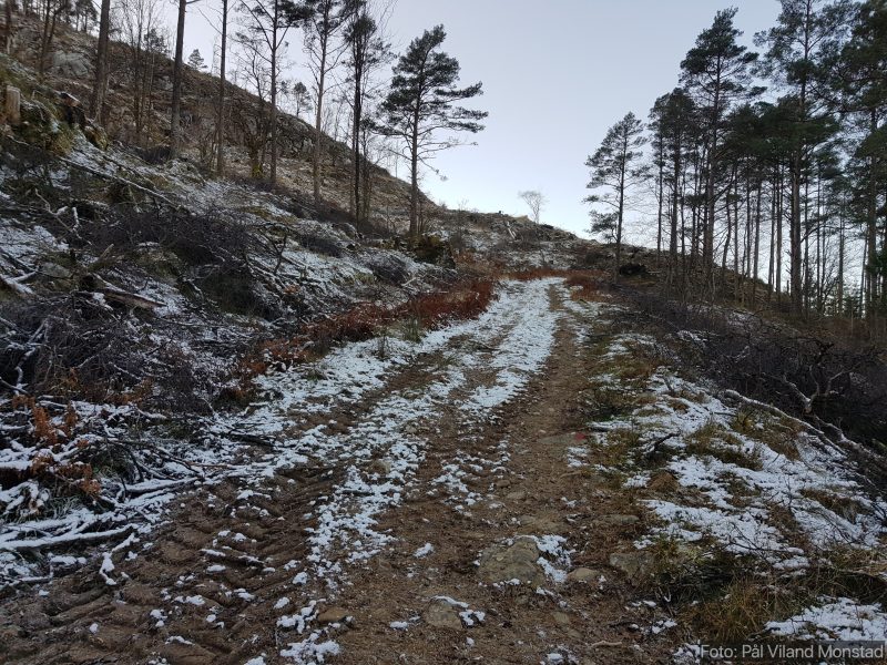 Etter hvert mer normal skogsveistandard.