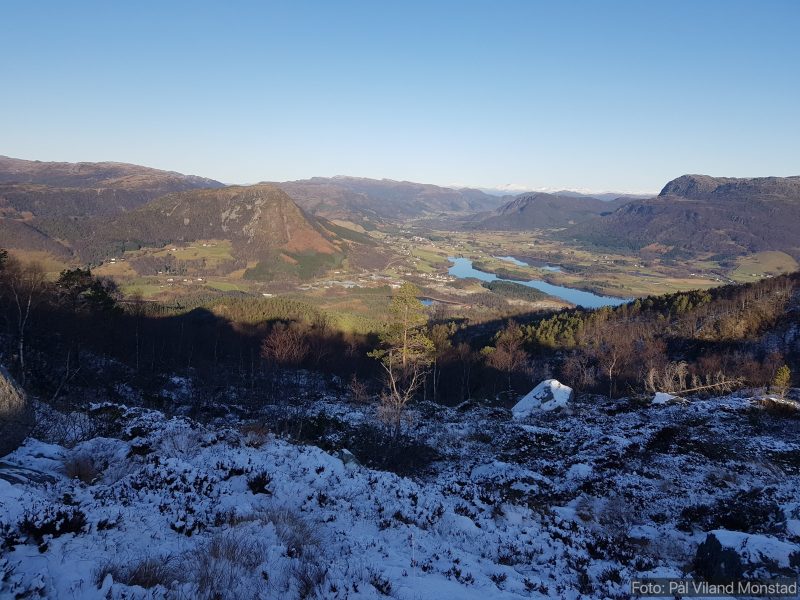 Over tregrensa med utsikt innover Øvre Vats.