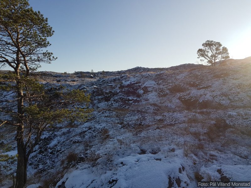 Litt tørr og fin snø oppover mot toppen.