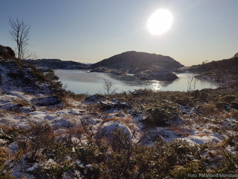 Mosarevvatnet passeres på vei oppover.