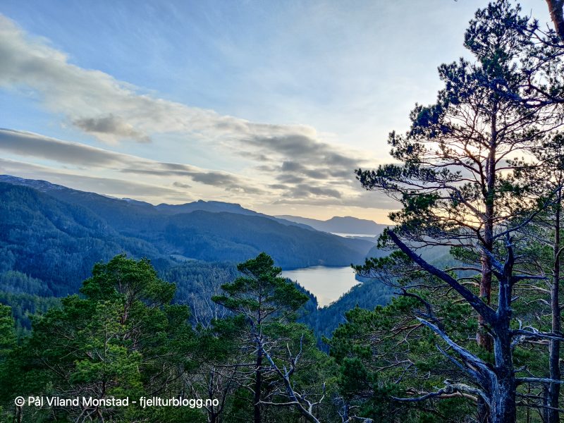 Litt fjordgløtt fra den ene knatten. Økstrafjorden.