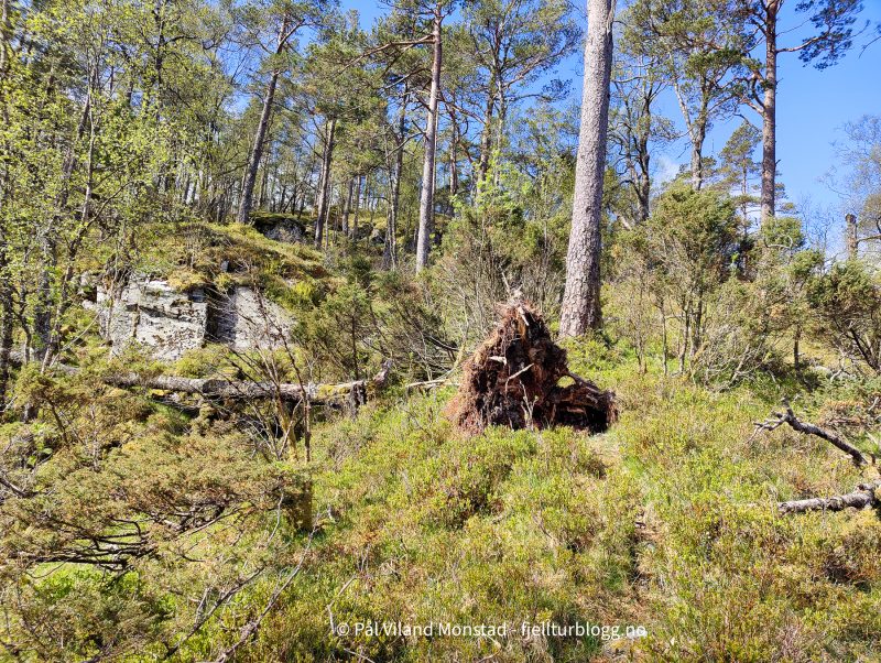 Slutt på vei og over på ganske tydelig sti.
