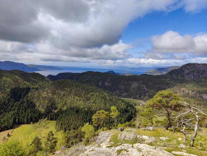 Vest mot Jelsafjorden.