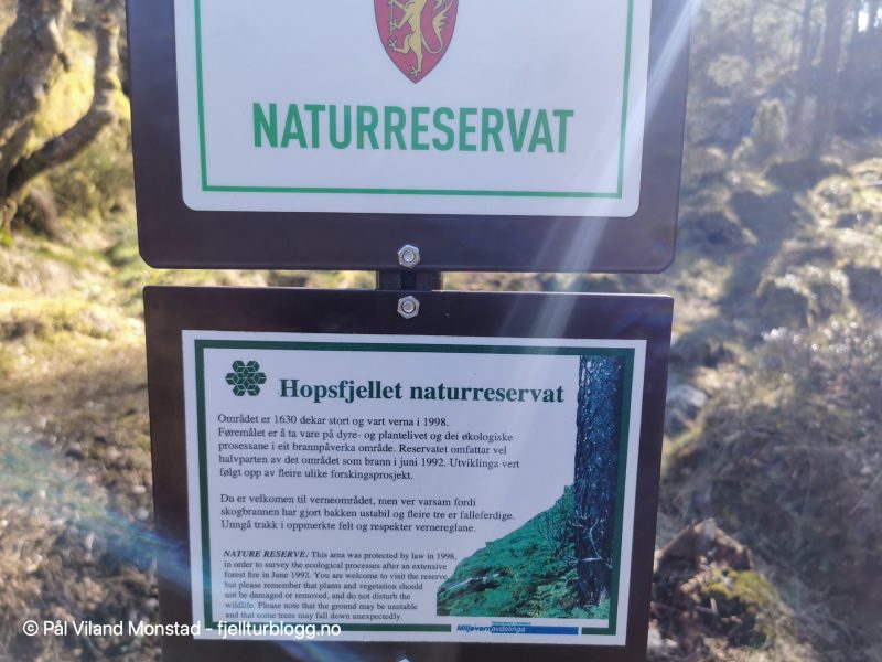 Hopsfjellet er et naturreservat etter skogbrannen her i 1992. Fortsatt tydelige tegn på brannen.