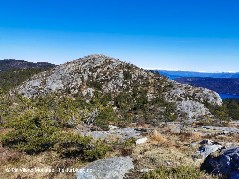 Stien slutter på Hopsfjellet, men nabotoppen er noen meter høyere, så det er den som er tellende topp.