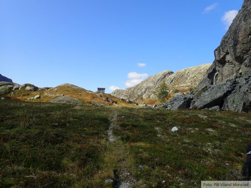 Dagen starter ved å gå opp til dammen i østenden av Bjørndalsvatnet