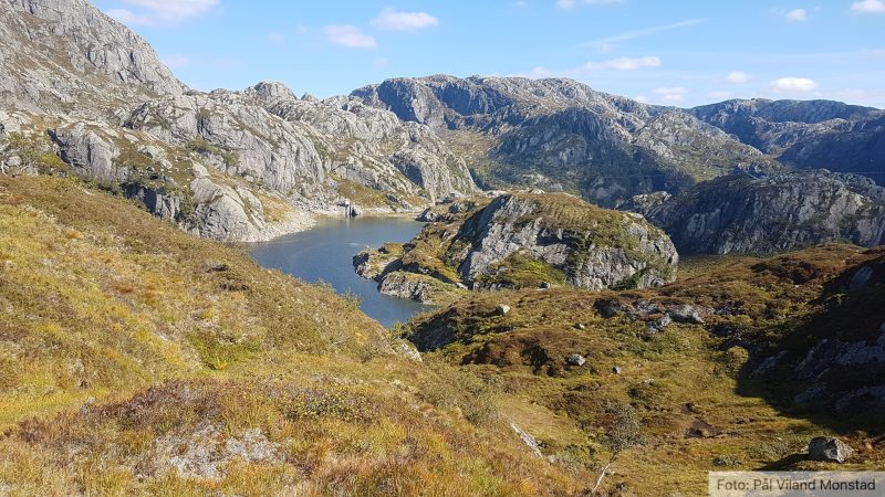 I høyden.
