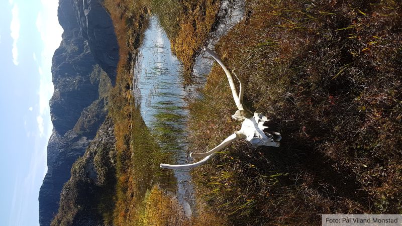 Noen endte sine dager på denne lite tilgjengelige toppen sørvest for Bjørndalsvatnet.