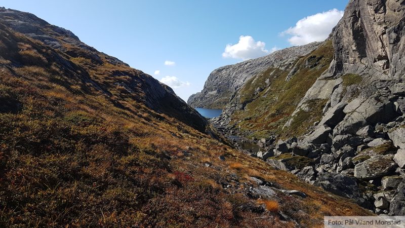 Vi går vestover fra Bjørndalsvatnet og opp til Høyvertjørn.