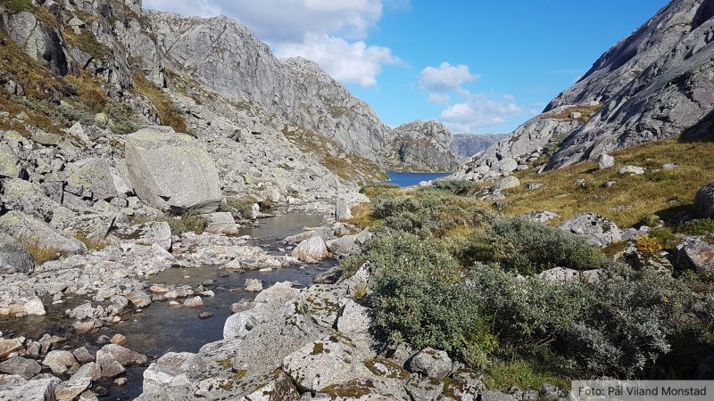 Tilbake mot Høyvertjørn.