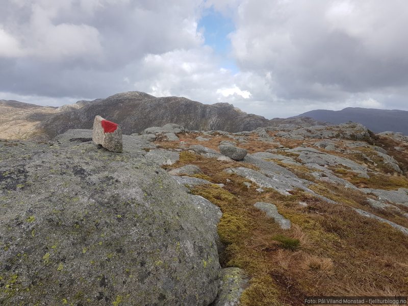 Merket rute herfra og til Vikestølen. Nødlinger er greie å følge over snaufjellet.