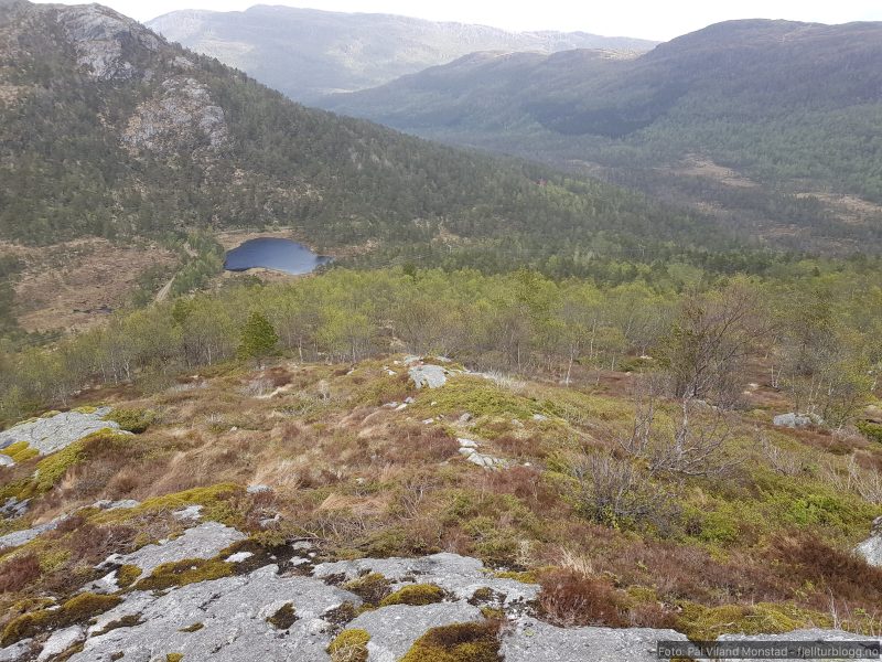 En del høydemeter ned til Vikestølen, før ny oppstigning på kammen opp bak Røytetjørn.