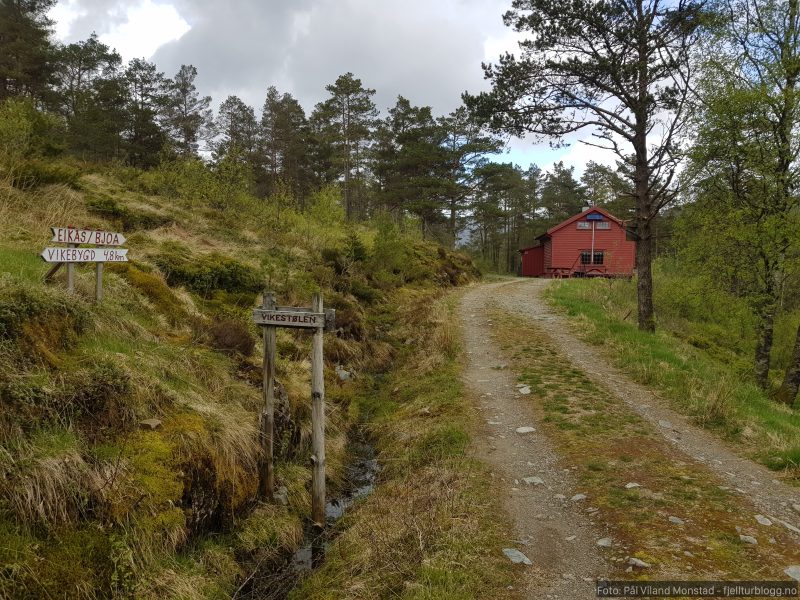 Vikestølen. Jeg skal opp til venstre her, på merket sti mot Trollafjellet.