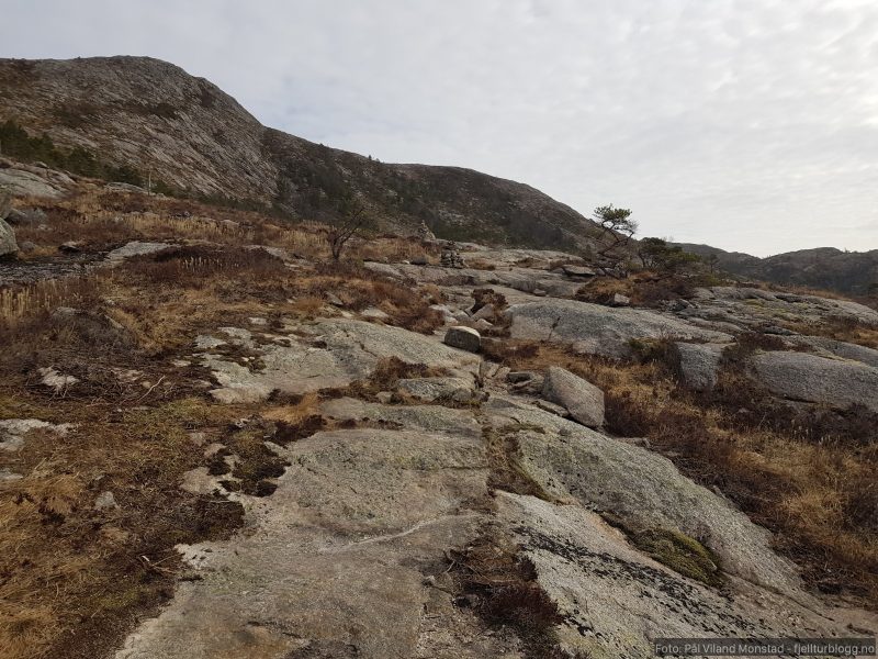 Tydelig merket sti. Her kom jeg ned på returen, fra Gråfjellet.