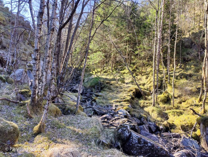 Her tok jeg til høyre inn Longe Dalen.
