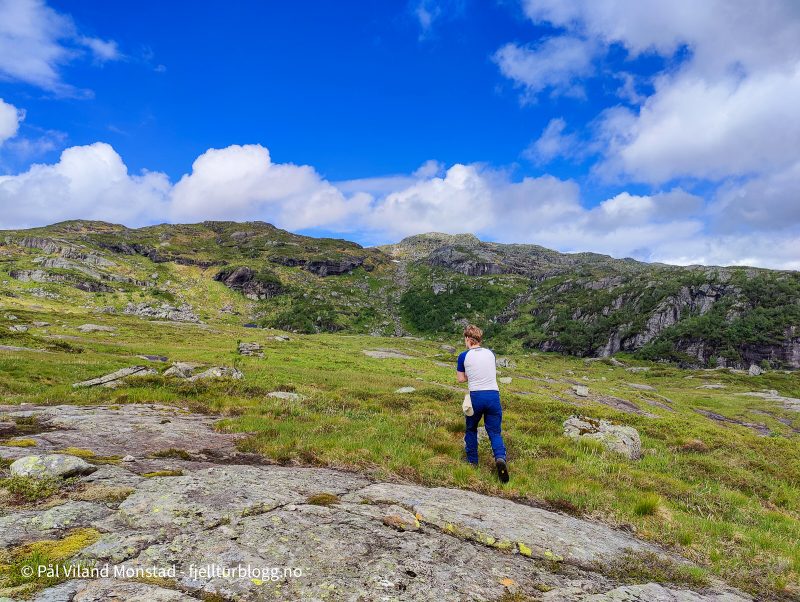 Litt høydemeter, og så ganske flatt innover mot hytta.