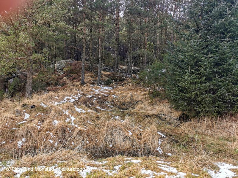 Ganske lett å finne hvor stien/skogsveien starter.