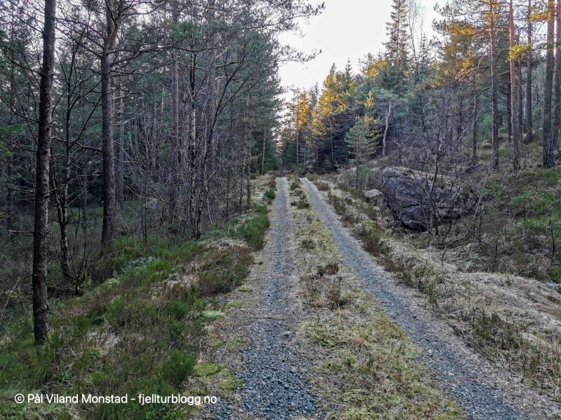 Jeg parkerte bilen langs veien til Stråtveit. Pil mot Raudnesvarden.