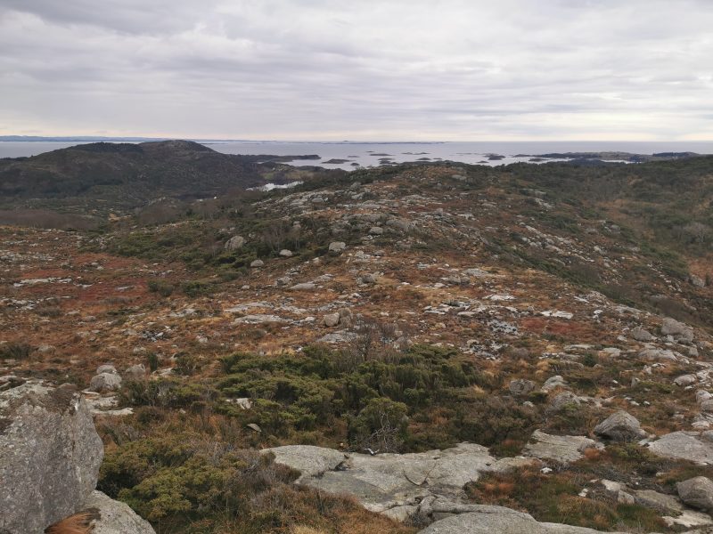 Utsikt mot sør og turens første topp, Hognåsen.