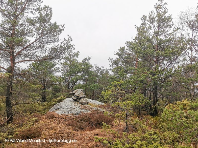 Oppe på platået ligger toppen blant trær og vegetasjon, på et berg. Ikke lett å finne uten GPS.