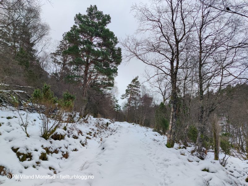 Men etter hvert ble det mer og mer snø.
