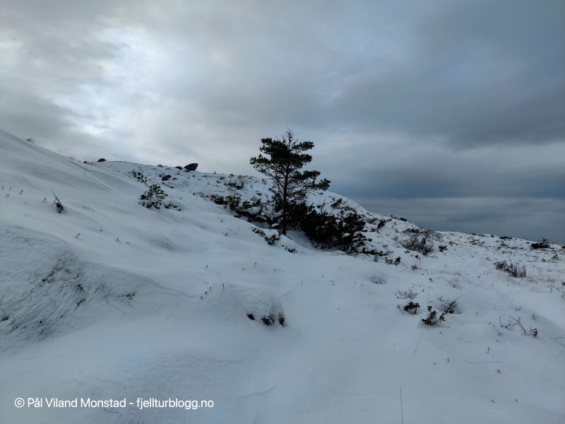 Over tregrensa blir det stabbing i snø til midt på leggen.