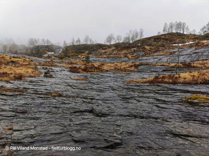 Over tregrensa blir det mer og mer fast fjell under beina.