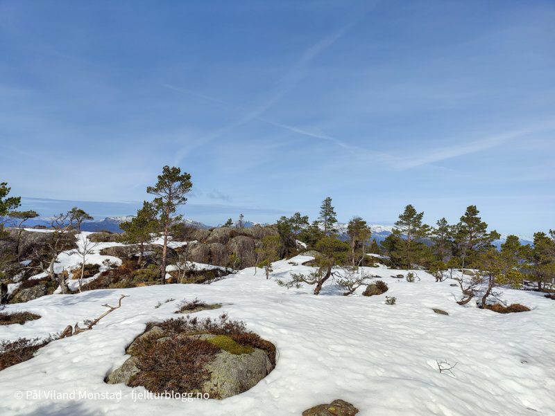 Mer snø. Godt med gamasjer. Mindre varde på toppen som navngis Nord for Skute.