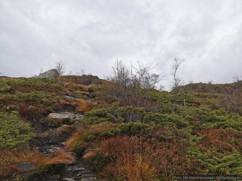 Over tregrensa.