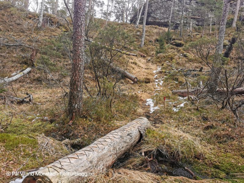 Stien fortsetter rundt Sønnanåheia. Solid bru over bitteliten bekk.