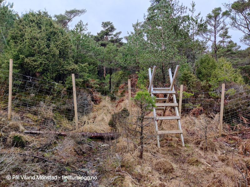 Slutt på vei og over på sti.