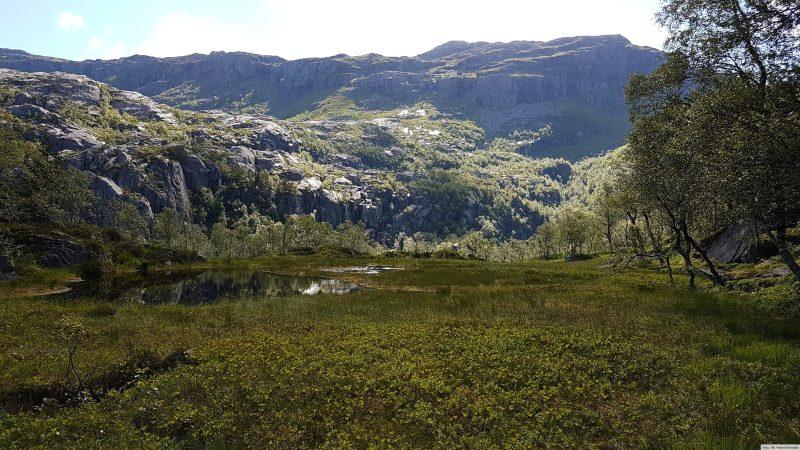 Fint fra Botnen og innover dalen. Store Holevatnet ligger på platået oppe til venstre.