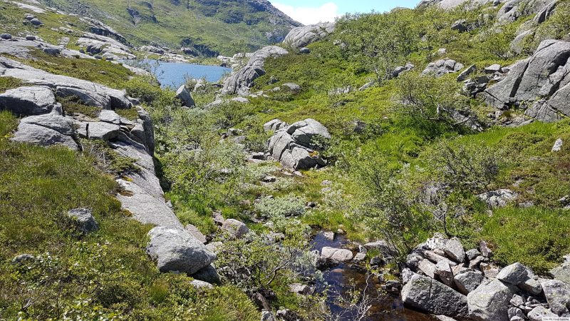 Flere mindre bekker renner inn i vannet på sør-østsiden.