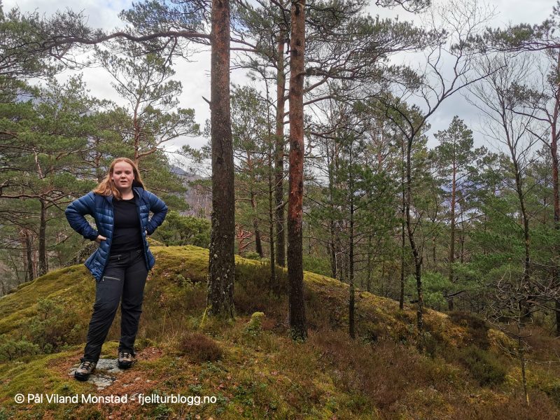 Toppen på 129 moh. Full skog, så ingen utsikt.