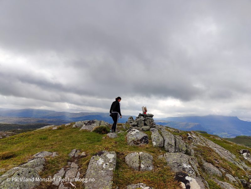 Utsikt fra toppen av Svartafjell, 491 moh.
