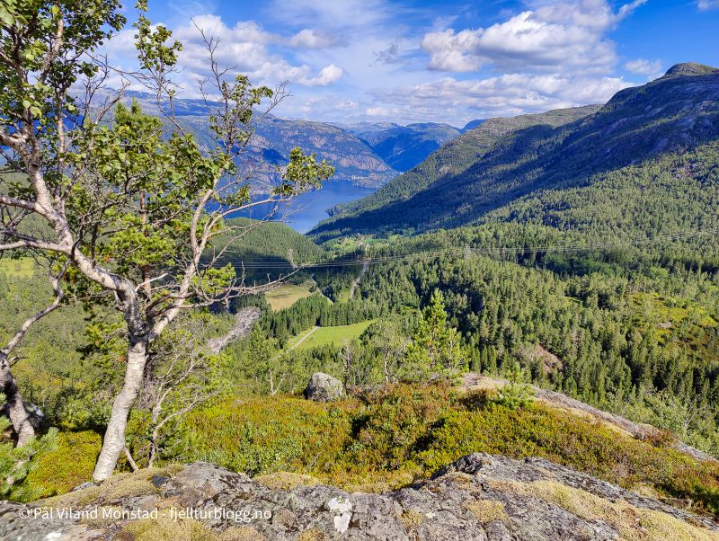 Utsikt ned mot Vetrhus og Suldalsvatnet.