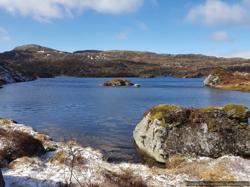 Nede ved Morgonsvatnet 460 moh
