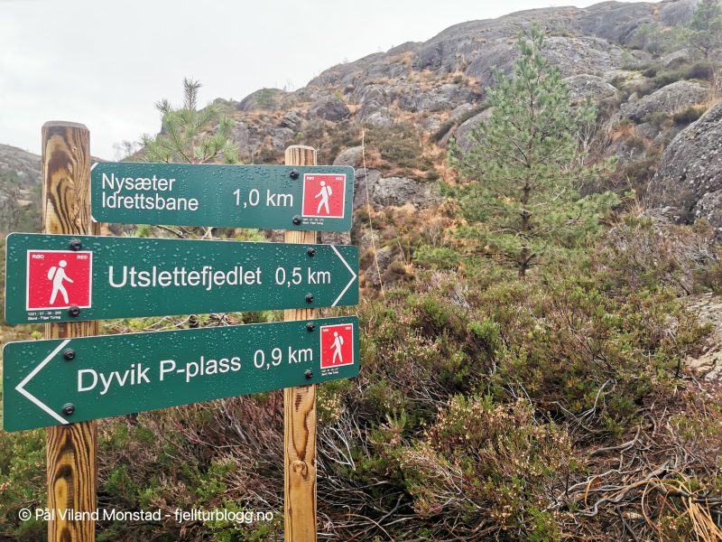 Flere stier fører til toppen.
