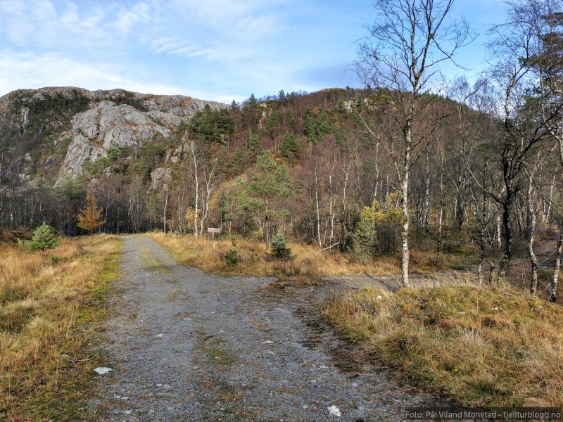 Her tar jeg av til høyre fra skogsveien. Rett fram fører mot Bjordal.
