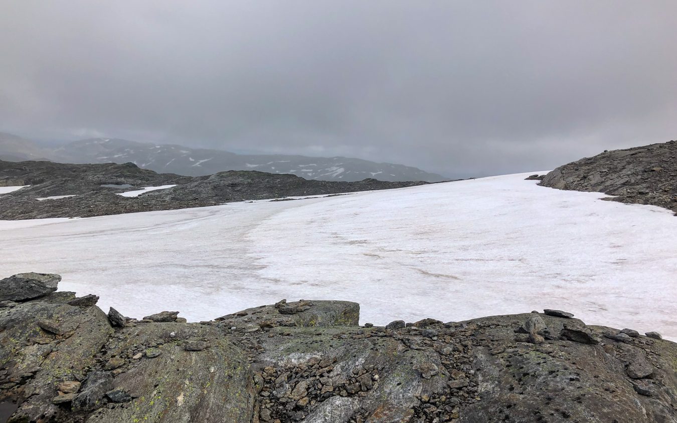 Breifonn